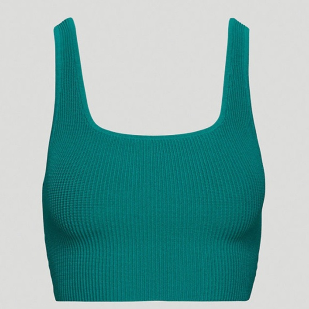 ARITZIA Babaton Crop Top